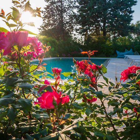 Trullo Amarcord Villa Selva Di Fasano Kültér fotó